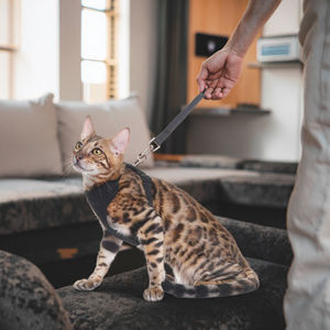 Nilon kustom harnes anjing dan Set tali katun Solid harnes kucing kelinci serbaguna aksesoris hewan peliharaan pisah - Product Image 5