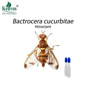 Attractant Efficace pour Mouches des Fruits Orientales, Piège à Phéromones Sûr, Appât Anti-Nuisibles pour Verger et Jardin, Non Toxique, Prix Usine - Product Image 2