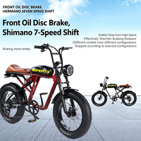 Vélo de montagne électrique avec moteur à moyeu arrière personnalisé, batterie au lithium 48V, autonomie de 65 km, frein à disque double, cadre en acier à haute teneur en carbone