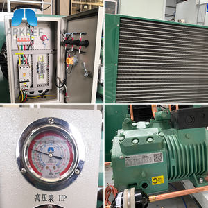 ARKREF 2 PS Kühlanlage Bitzer Verflüssigungssatz Luftgekühlter Verflüssigungssatz Kühlaggregat für Kühlräume - Product Image 5