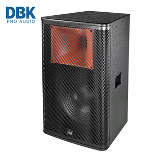 DBK Haut-parleur à source ponctuelle de 15 pouces, actif, personnalisé, professionnel, pour scène, équipement audio, haut-parleur large bande pour karaoké, fêtes et églises - Product Image 1