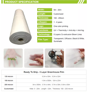 <span class=keywords><strong>Film</strong></span> de couverture de <span class=keywords><strong>serre</strong></span> en <span class=keywords><strong>plastique</strong></span> LDPE résistant aux UV, 150/200 microns, 6 mil, pour petites serres - Product Image 4