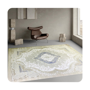 100% Pp cinéma personnalisable de haute qualité, hôtel, chambre à coucher, salon, tapis épais antidérapant de style moderne - Product Image 1