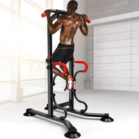 Barres parallèles multifonctionnelles en acier sur pied, barre de traction, équipement de gym à domicile, appareil d'entraînement complet pour OEM/ODM
