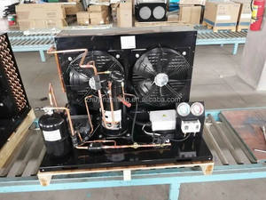 Unidad de Condensación Refrigerada por Aire de 3 Toneladas con Compresor Semi-Hermético, Motor y Bomba para Almacenamiento en Cámaras Frigoríficas - Product Image 2