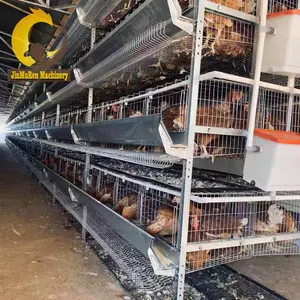 Jinmuren – Cage économique de type H pour la conception de cages de ferme de poulet/volaille