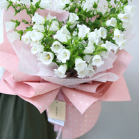 Papier d'emballage Floral professionnel, 5 paquets de papiers d'emballage, pour Bouquet