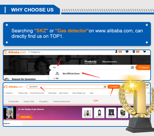 SKZ1050E-CO2 O2 N2 Farbdisplay Digitaler Kohlenmonoxid-Dioxid-CO2-Sauerstoff-O2-Stickstoff-N2 3-in-1 Multi-Gas-Reinheitsanalysator - Product Image 6