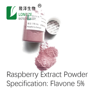 Boisson en poudre à saveur de framboise biologique de qualité alimentaire 1kg Commande minimum emballée dans un tambour - Product Image 4