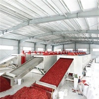 Ligne de production de séchage automatique de poivrons et de piments de 30 tonnes de capacité pour la transformation alimentaire