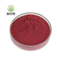 Entrepôt vente en gros 100% poudre de racine de betterave séchée par pulvérisation biologique naturelle poudre de betterave rouge