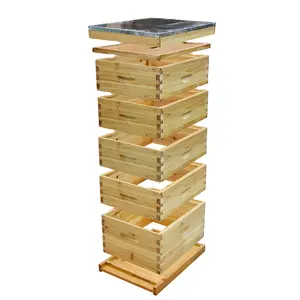 Honey Beekeeper 5 capas Beehive Kit Beeswax Coated 10 Frame Langstroth Bee Hive Box Kit