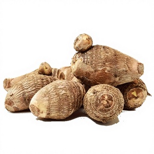 Estratto di Pueraria Lobata da Fabbrica, Polvere Concentrata di Pueraria Lobata, Puerarina, Materia Prima Omologata per Uso Medicinale e Alimentare - Product Image 2