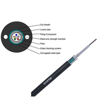 Factory Direct GYXTW Armored Fiber Cable 4-24 Core Single Mode Central Tube Steel Wire Reinforced OEM Length Available