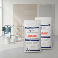 Venta caliente Mortero Masilla Revestimiento en polvo y cerámica Espesante Hidroxipropil Metil Celulosa Polvo Hpmc Polvo