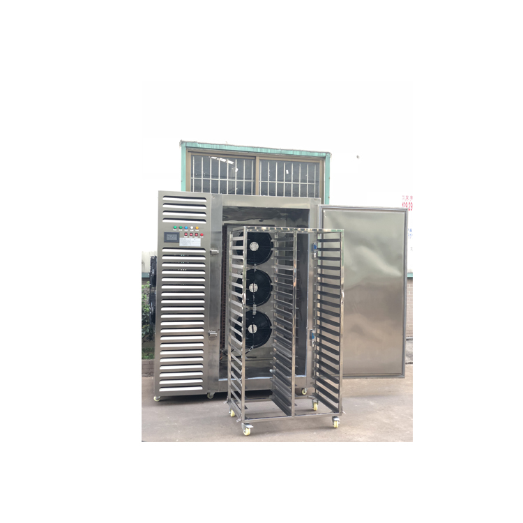 100kg/hour Best price and economical small iqf freezing tunnels machine