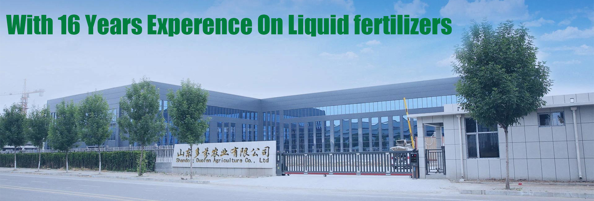 Wholesale Seaweed Calcium Magnesium Liquid Fertilizer image 5