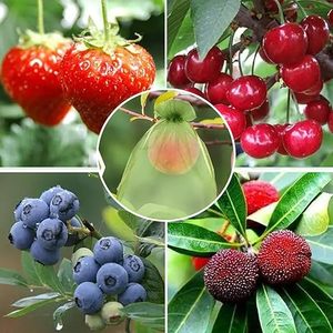 Huamaohengchun7.8''×11.8''DrawstringFruit <b>Netting</b> Bags,eusableGardenNettingBags,FruitCoverMeshBagfor Fruit TreesVegetable Floral - Product Image 3