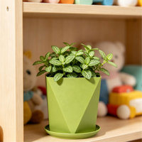 Pots à fleurs carrés en PP avec trou de drainage, design minimaliste durable pour la maison et le jardin, plantes vivantes, options colorées, capacité de 1,6 L