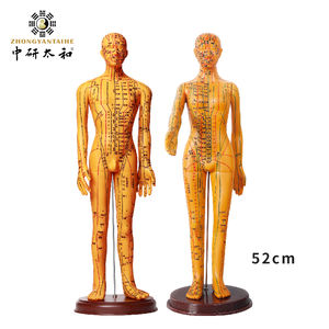 Massage Teaching Training Menschlicher Körper Meridian Außer gewöhnliche Punkte Akupunktur modell - Product Image 6