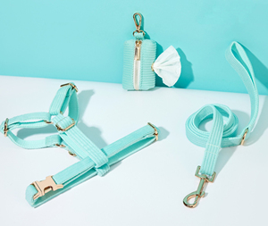 Ensemble de collier de laisse avec nœud papillon en velours côtelé bleu aqua gravé Ensemble de harnais pour chien personnalisé avec nœud papillon - Product Image 3