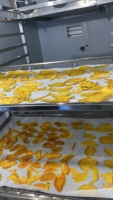 Commerciële energiezuinige warmtepompdroger voor het drogen van fruit, kruiden, vlees en zeevruchten