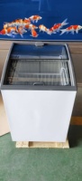 Vitrine congélateur pour glaces et bâtonnets glacés de 100 L à 200 L avec porte vitrée incurvée