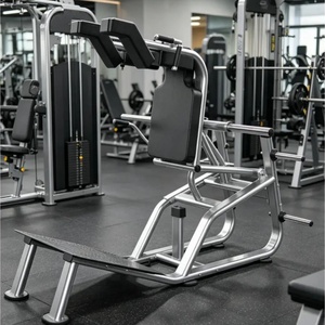 Machine Hack Squat pour la musculation des jambes, des fessiers et des épaules, équipement de fitness directement de l'usine Ningjin pour la salle de sport - Product Image 4