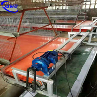 Cage à poulet en acier inoxydable 200 pour les poules et les bébés poussins, caisse en bois, produit chaud fourni, poulailler à 20 poules pondeuses