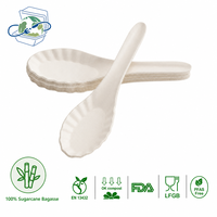Cuillère à dentelle biodégradable, sans PFAS, recyclable, à bords lisses, tendance, pour service de restauration événementielle