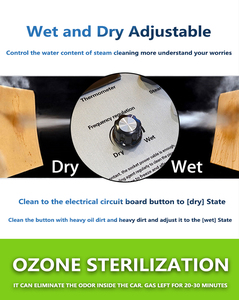 <span class=keywords><strong>Nettoyeur</strong></span> <span class=keywords><strong>Vapeur</strong></span> Portable Commercial 2025 Nouvelle Technologie pour Tapisserie, Climatiseur, Cuisine, Toilettes, Maison, Hôtel, Voiture - Product Image 4