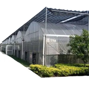 小屋農業温室野菜成長テント200ミクロンプラスチック低コスト農業温室植物成長フィルムCNから; SHN
