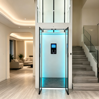 Ascensore Moderno per Villa, Elevatore Domestico Idraulico Durevole con Cabina in Vetro Temperato, Ingresso Personalizzabile, da 2 a 4 Piani, 300kg 400kg