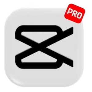 Logiciel de montage vidéo CapCut Pro, abonnement Premium d'un mois - Product Image 3