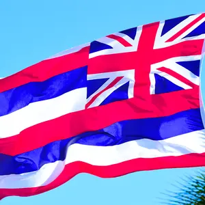 Banderas decorativas digitales impresas, no hay cantidad mínima, 100D, poliéster, 3x5 pies, Hawái, envío rápido