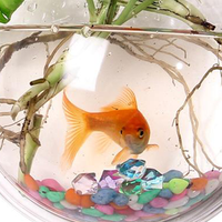 Beliebtes Großhandelsprodukt zum Fabrikpreis: 5L Zylinder Nano-Aquarium aus Ultraklarem Glas, Umweltfreundliches Fischbecken mit Verpackung