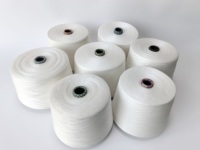 Fil à tricoter écologique Ne40/1 Siro Compact Spun 95% Birla Lyocell 5% Soie, fil mélangé, doux, pour vêtements de mode