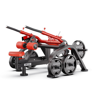 Máquina de entrenamiento de espalda ajustable Panata Push Down Trainer con placas de pesas para fitness y moldeamiento corporal - Product Image 2