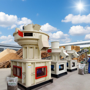 Ligne de production complète de machines à granulés de biomasse (sciure, herbe, palmier, balles de riz) pour usine – Fournisseur direct - Product Image 1