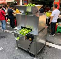 Volledig roestvrijstalen fruitpers-extractor voor ananas, passievrucht en drakenvrucht fabrieken