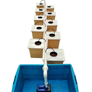 Système hydroponique complet de serre avec système de bacs Bato néerlandais, pompe et kit d'irrigation goutte à goutte - Product Image 1