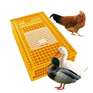 Gran oferta 2023, caja de transporte de pollo vivo de plástico, equipo de papel para aves de corral, jaula de plástico para transporte de pollos