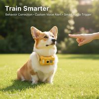 Collier de suivi GPS intelligent pour animaux de compagnie, en PVC durable, anti-perte, avec balise de positionnement pour chiens et chats, pour une utilisation quotidienne en extérieur