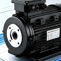 Moteur asynchrone à arbre creux série HS 0,25 kW-3,7 kW IE1/IE2/IE3 monophasé 50/60 Hz à montage par bride pour équipement de lavage automobile