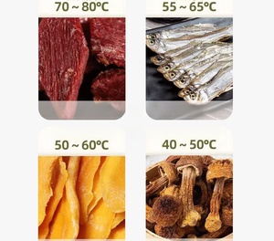 <b>Dehydrated</b> Food <b>Machine</b> Stainless Steel Preminium Vegetable Meat Beef Fruit Dryer Banana Strawberry 10 Trays <b>Dehydrator</b> Fruit Dr - Product Image 6