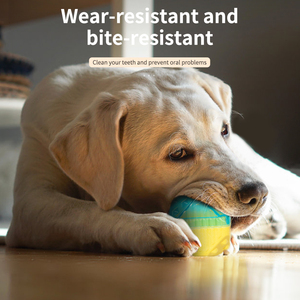 ของเล่นสุนัข<span class=keywords><strong>กัด</strong></span>เย็นสำหรับเคี้ยว,ของเล่นสุนัขแทะปลาและลูกบอลกัดแทะสุนัขทนทานปลอดภัยดีไซน์ใหม่ - Product Image 2