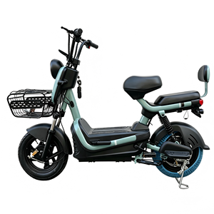 Bicicleta Eléctrica en Oferta, E-Bike de 500W/350W 48V 14'', Bicicleta Eléctrica Económica/Bicicleta Eléctrica de 50km de Autonomía - Product Image 4