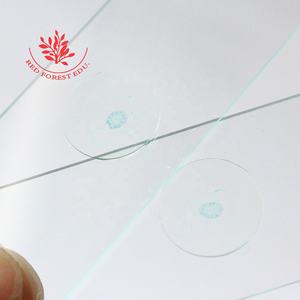 Tallos <span class=keywords><strong>de</strong></span> plantas dicotiledóneas típicas tallos <span class=keywords><strong>de</strong></span> girasol corte transversal tobogán <span class=keywords><strong>de</strong></span> botánica farmacéutica <span class=keywords><strong>china</strong></span> tobogán <span class=keywords><strong>de</strong></span> observación microscópica - Product Image 3