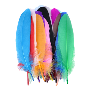 Plumes d'autruche colorées teintées sur mesure en gros pour artisanat, idéales pour fêtes, mariages, décoration intérieure – Promotion à prix abordable - Product Image 1