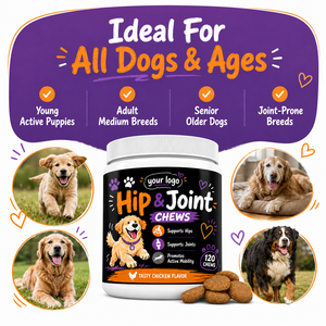 Soulage les douleurs articulaires, favorise le jeu quotidien, favorise la lubrification du cartilage, glucosamine, MSM, acide hyaluronique, chondroïtine, biologique pour animaux de compagnie - Product Image 3